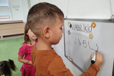 Obrázek č.55