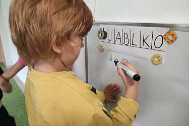 Obrázek č.61
