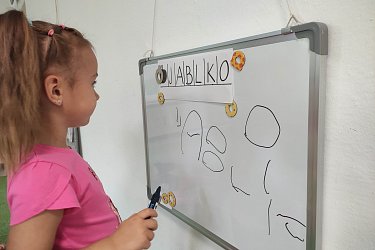 Obrázek č.60