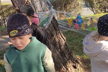 Obrázek č.11