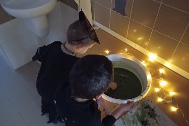 Obrázek č.73