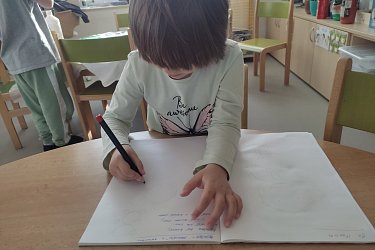Obrázek č.87