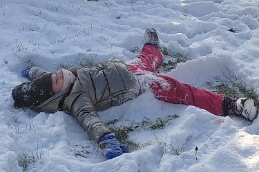 Obrázek č.64