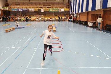 Obrázek č.12