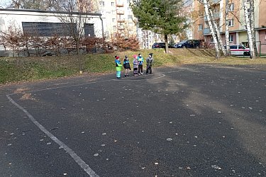 Obrázek č.201