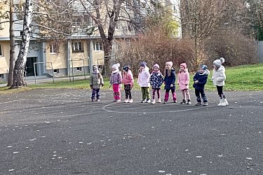 Obrázek č.210