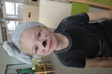 Obrázek č.12