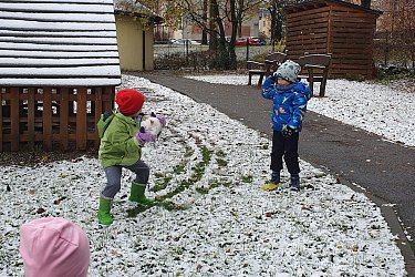 Obrázek č.40