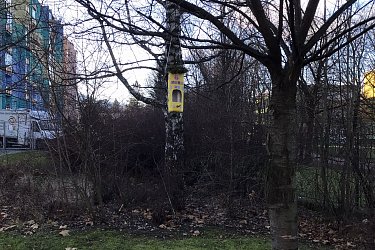 Obrázek č.13