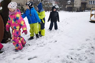 Obrázek č.24
