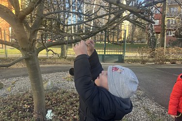 Obrázek č.17