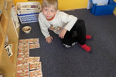 Obrázek č.44