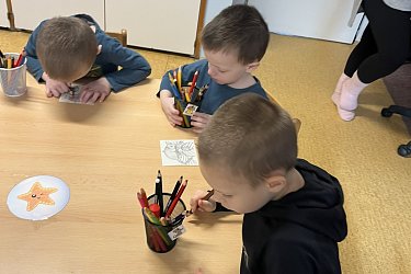 Obrázek č.34
