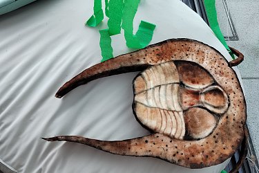 Obrázek č.7