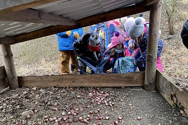 Obrázek č.7