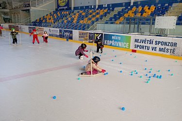 Obrázek č.6