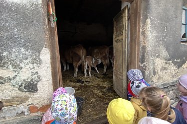 Obrázek č.7
