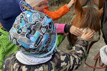 Obrázek č.30