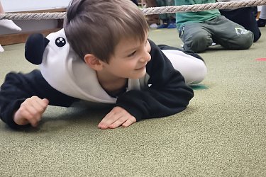 Obrázek č.70