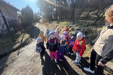 Obrázek č.105