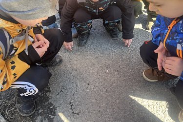 Obrázek č.95