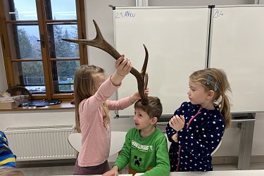 Obrázek č.47