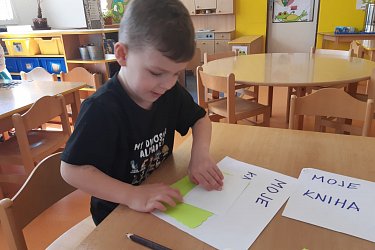 Obrázek č.65