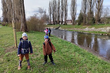 Obrázek č.6