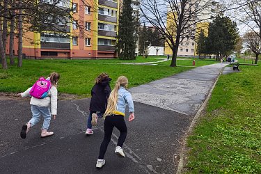 Obrázek č.68