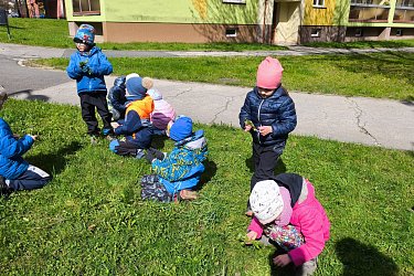 Obrázek č.98