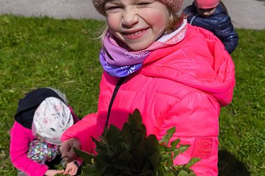 Obrázek č.87