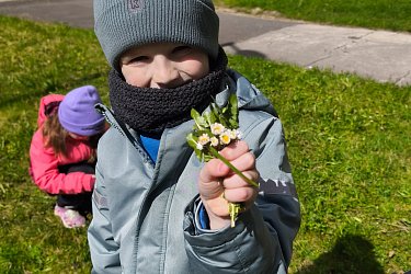 Obrázek č.84