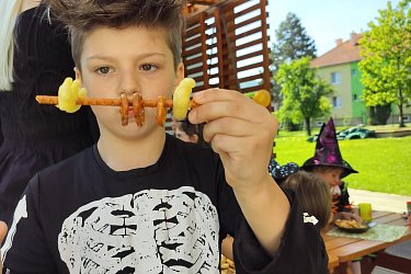 Obrázek č.137
