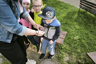 Obrázek č.5