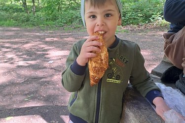 Obrázek č.62
