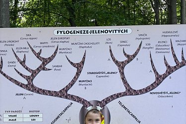 Obrázek č.87