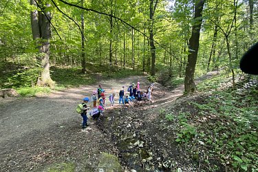 Obrázek č.13