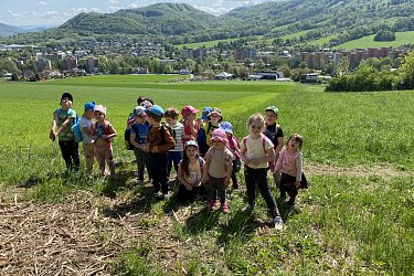 Obrázek č.55