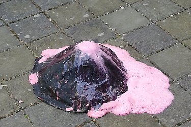 Obrázek č.80