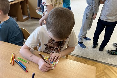 Obrázek č.27