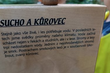 Obrázek č.56