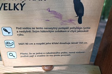 Obrázek č.64