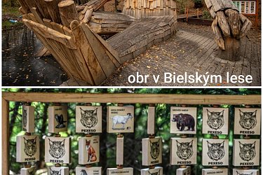 Obrázek č.4