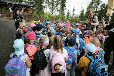 Obrázek č.82