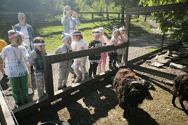 Obrázek č.130