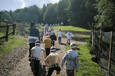 Obrázek č.140