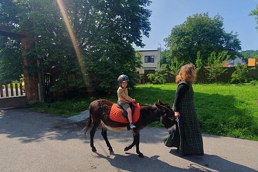 Obrázek č.40