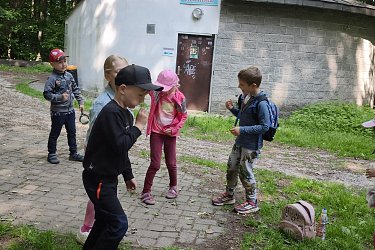 Obrázek č.55