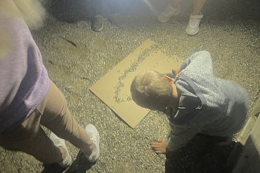 Obrázek č.17