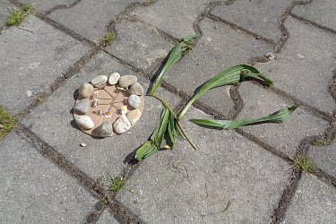 Obrázek č.11